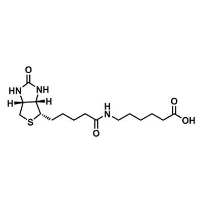 (+)-Biotin-LC
