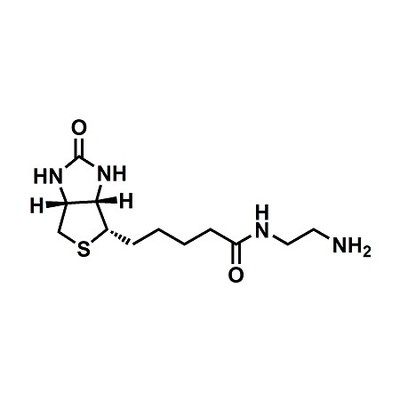 (+)-Biotin-amine