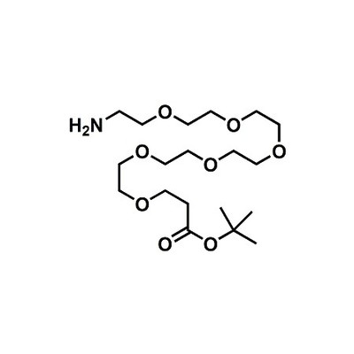 Amino-PEG6-t-butyl ester