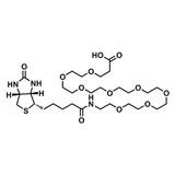 (+)-Biotin-PEG8-acid
