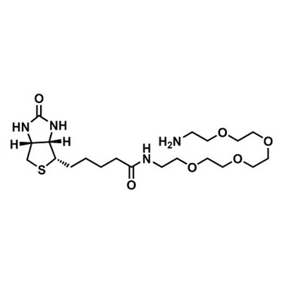 (+)-Biotin-PEG4-amine