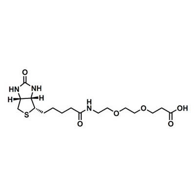 (+)-Biotin-PEG2-acid