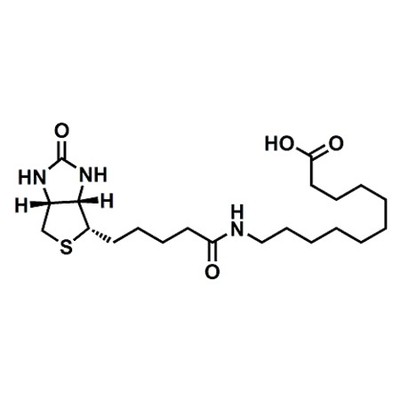 (+)-Biotin-SLC