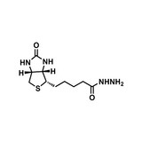 (+)-Biotin-hydrazide