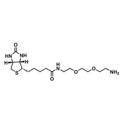 (+)-Biotin-PEG2-amine